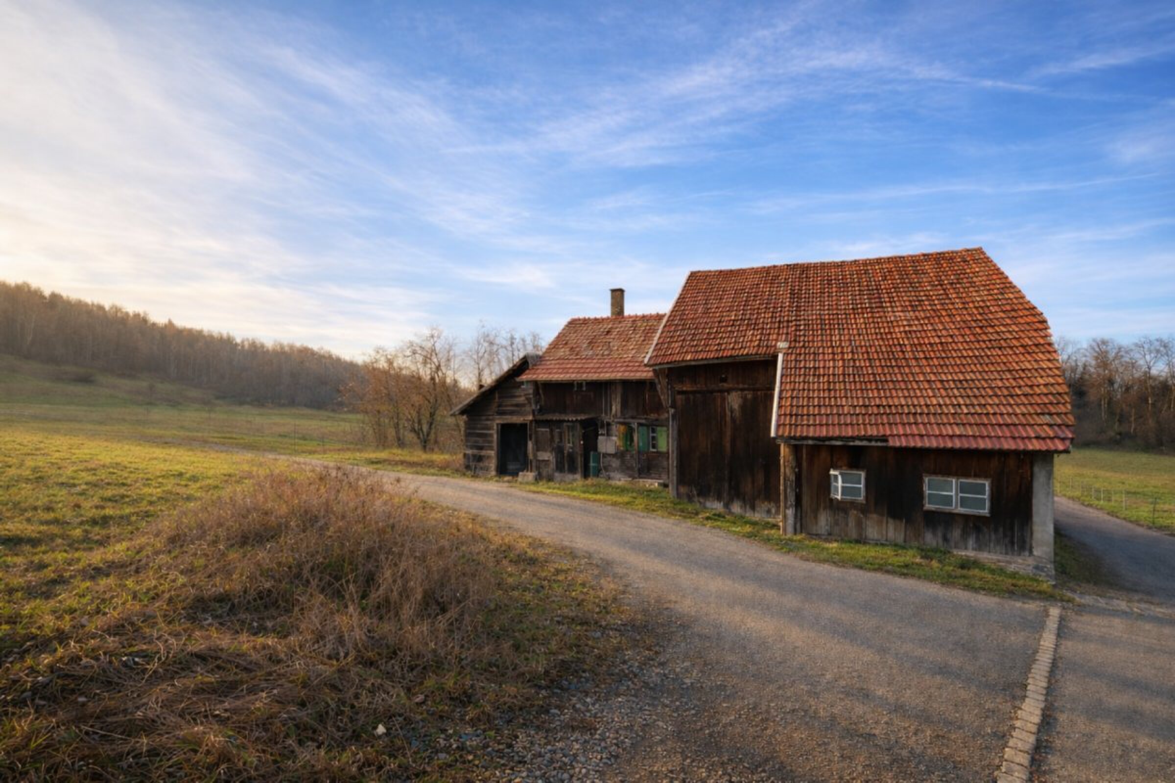 Firstview