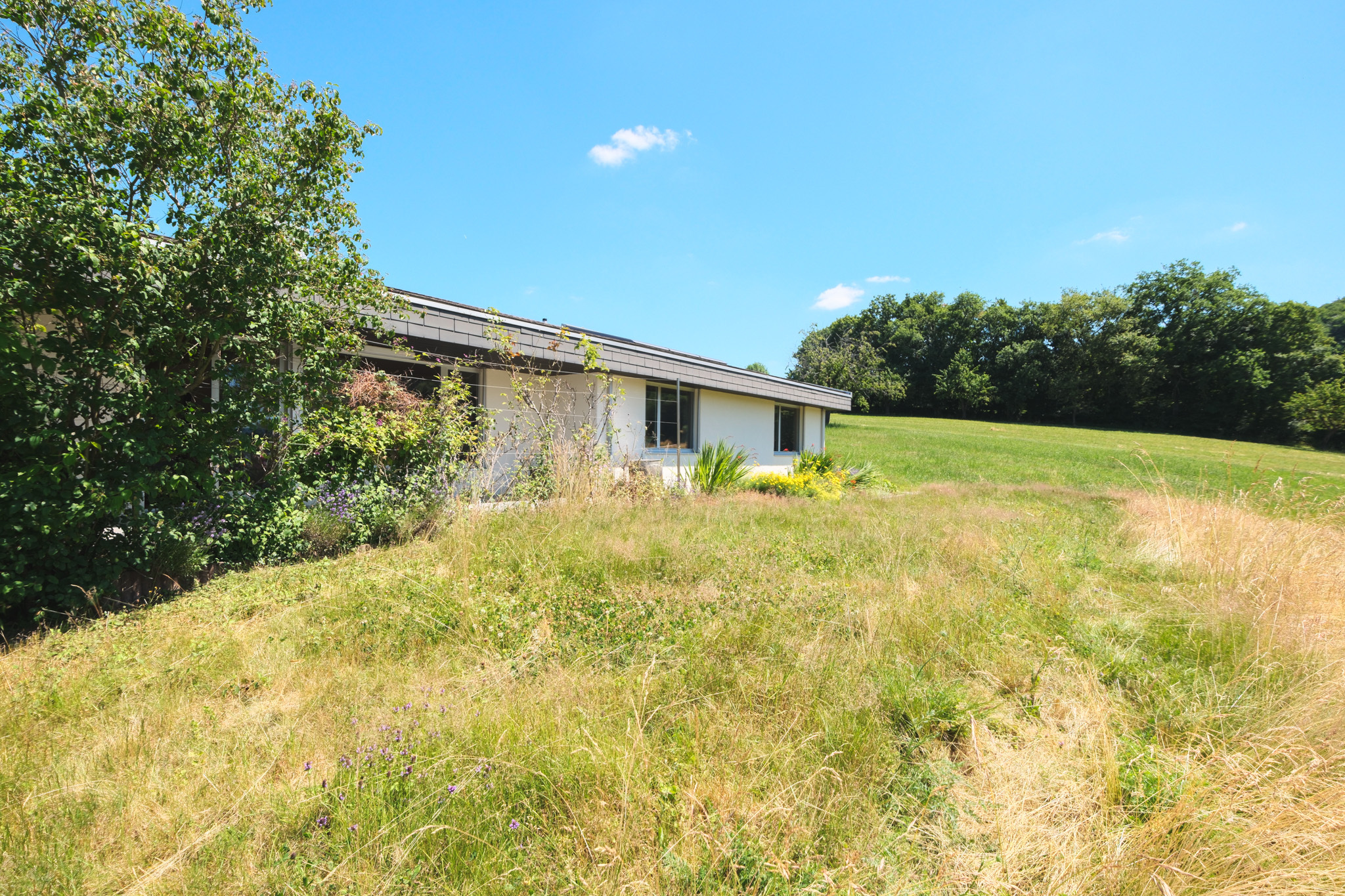 Hausansicht (Süden)