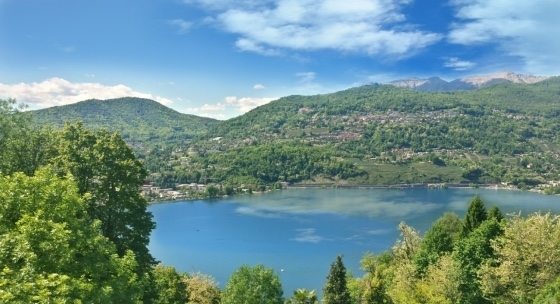 Immagine di copertina