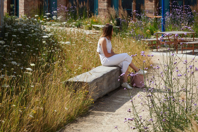 Possibilités de développement