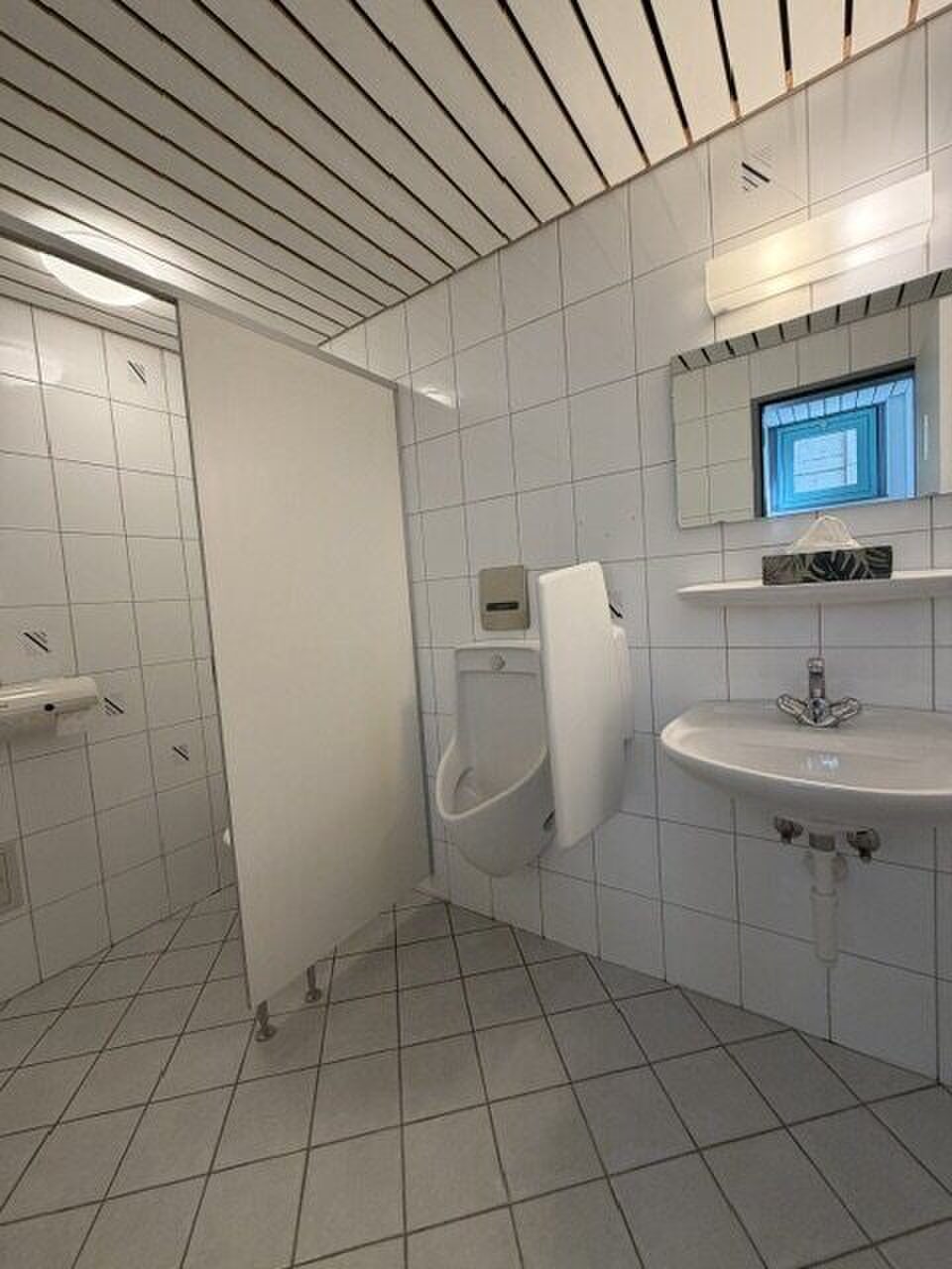 Photo 7