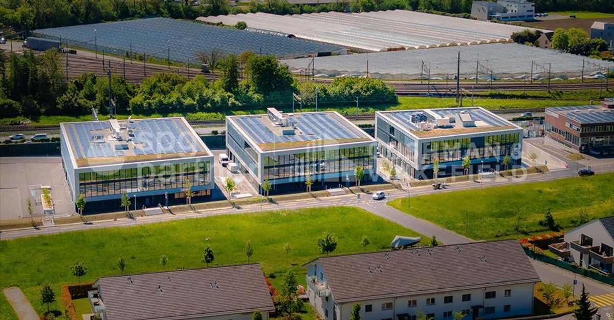 Foto 11