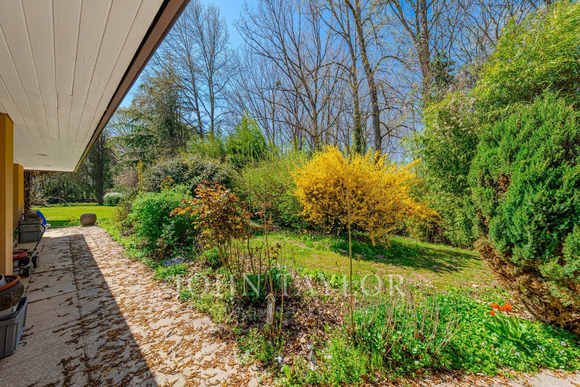 Premier coup d'oeil 3