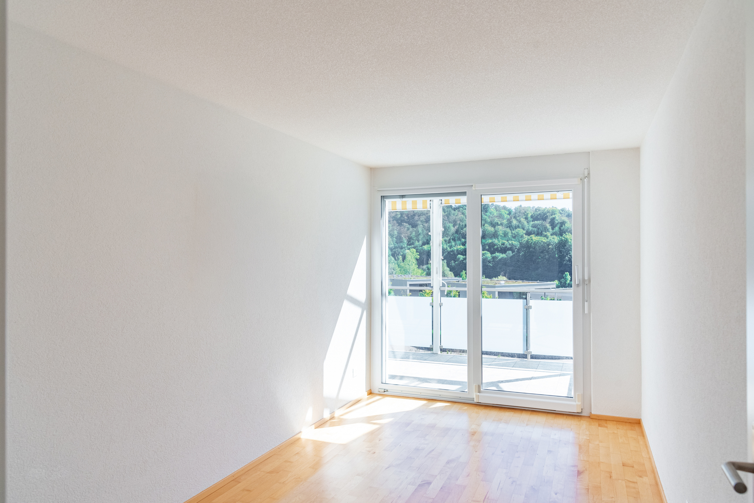 Interior view 9