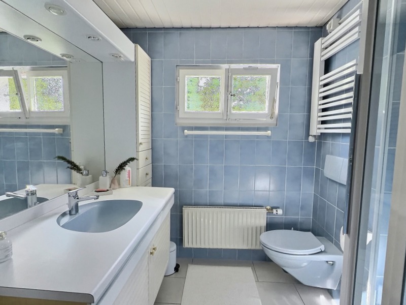 Interior view 10