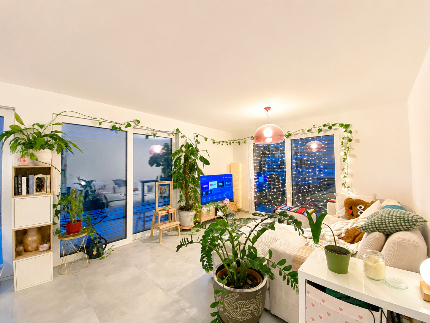 Interior view 1