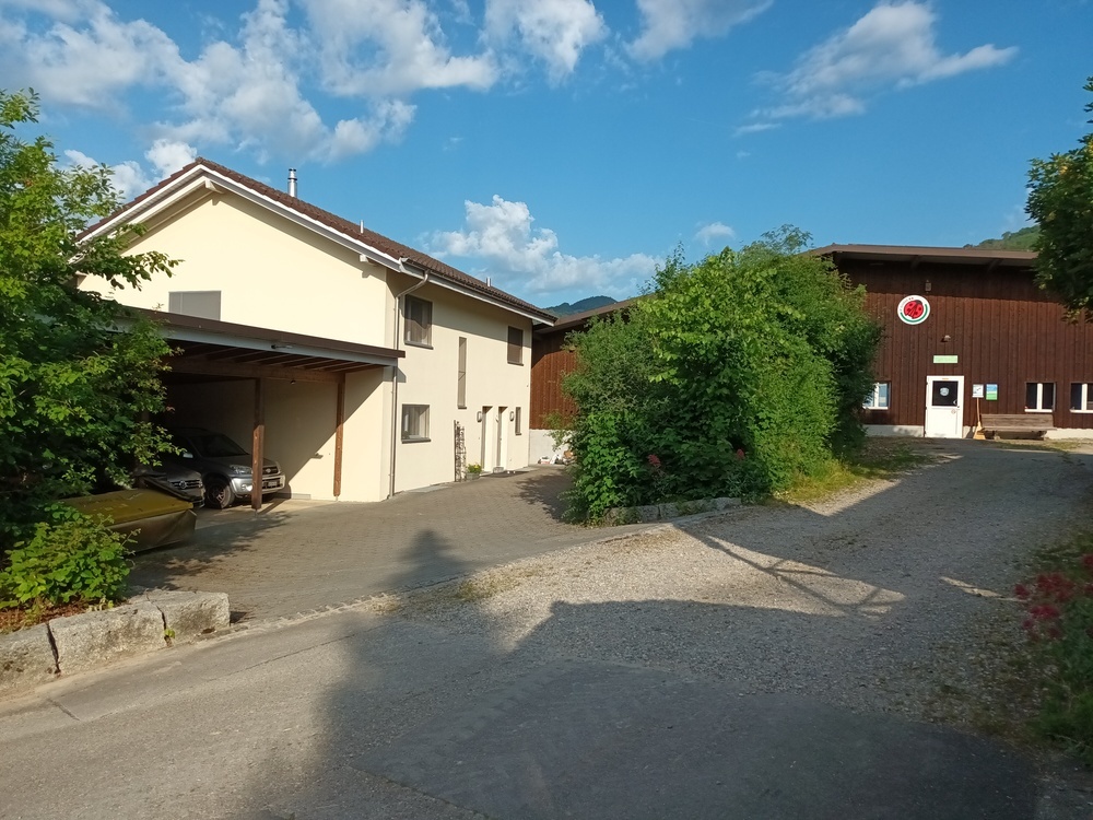 Photo 18