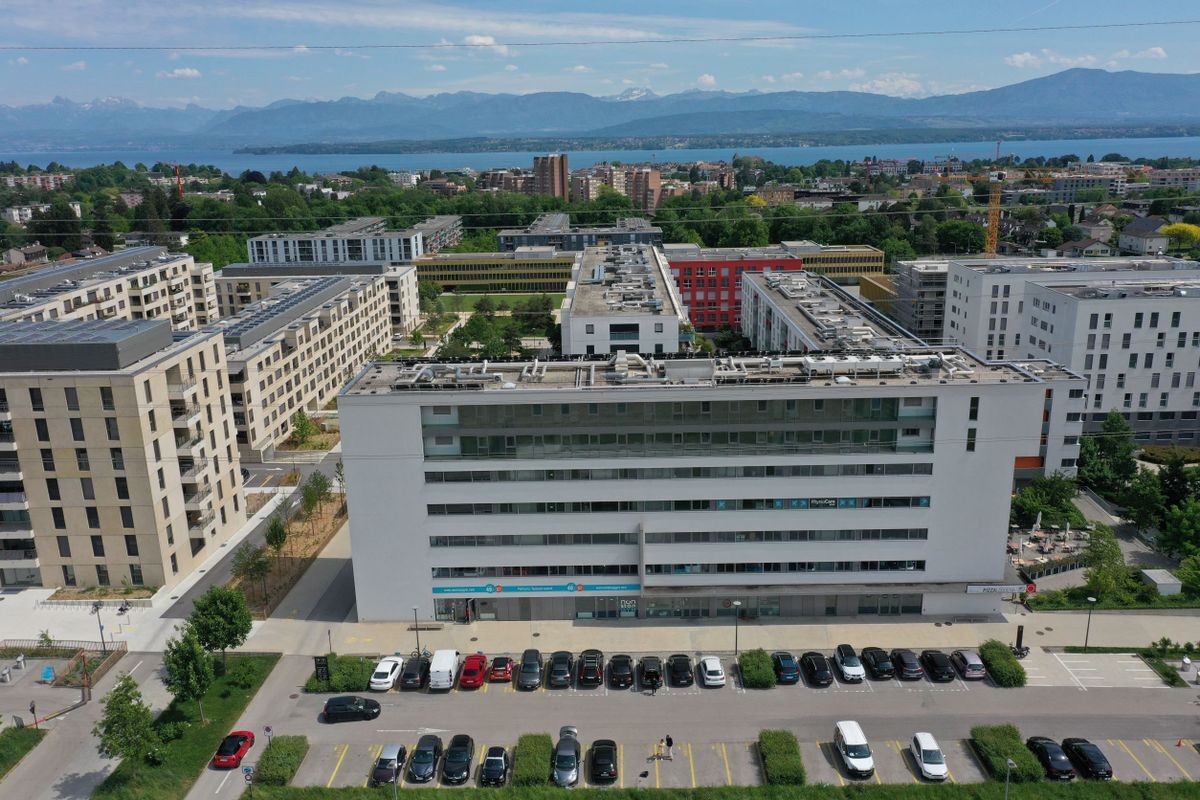 Foto 1