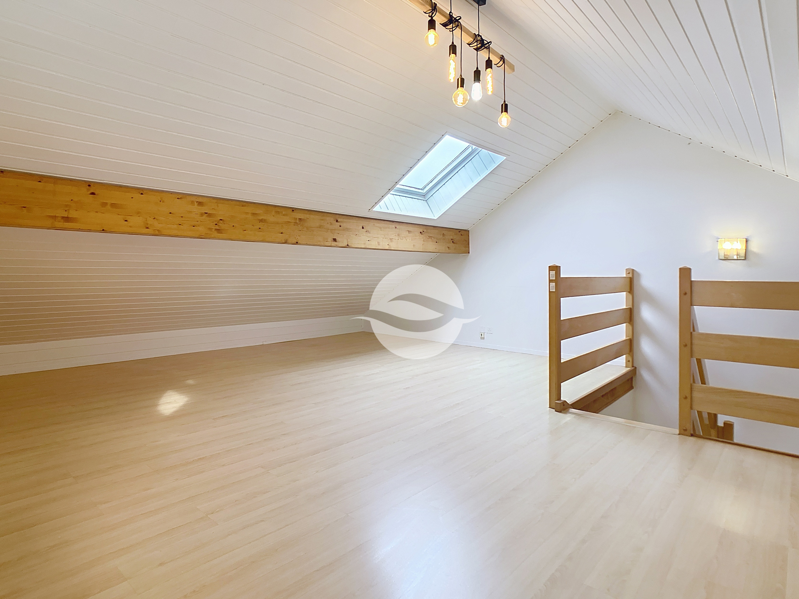 Combles : Grande pièce