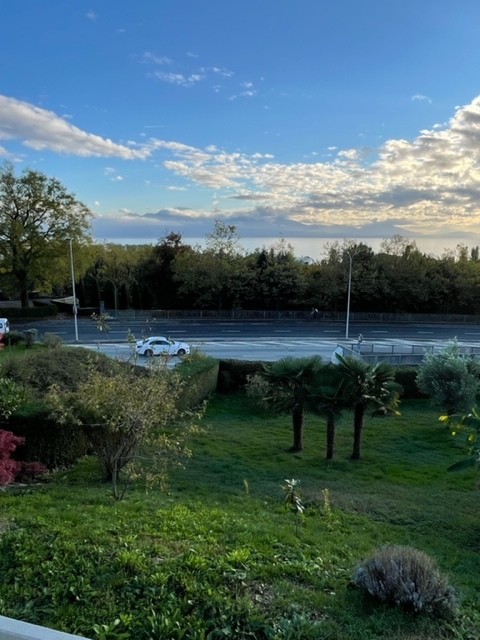 Foto 21