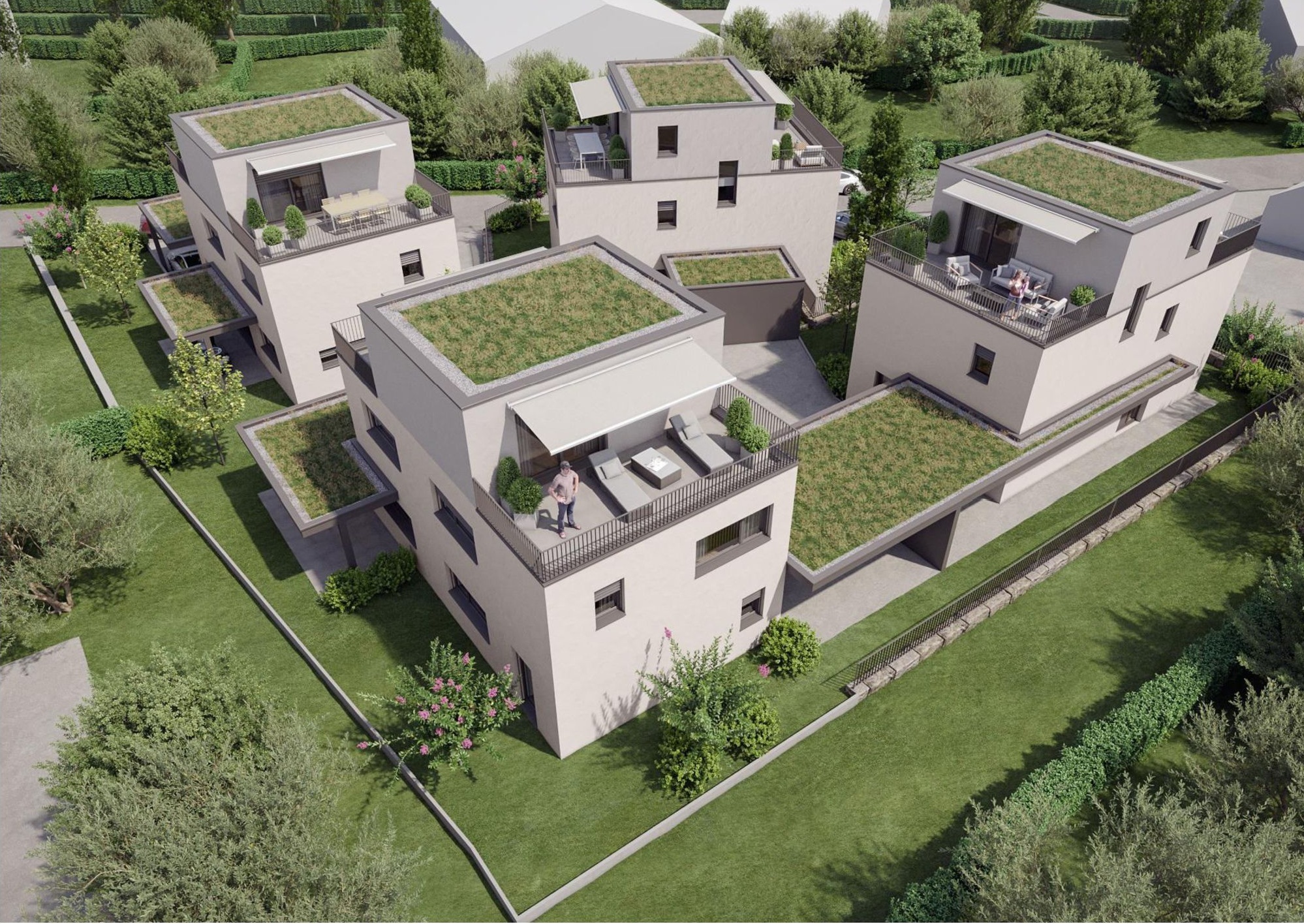 Premier coup d'oeil 1