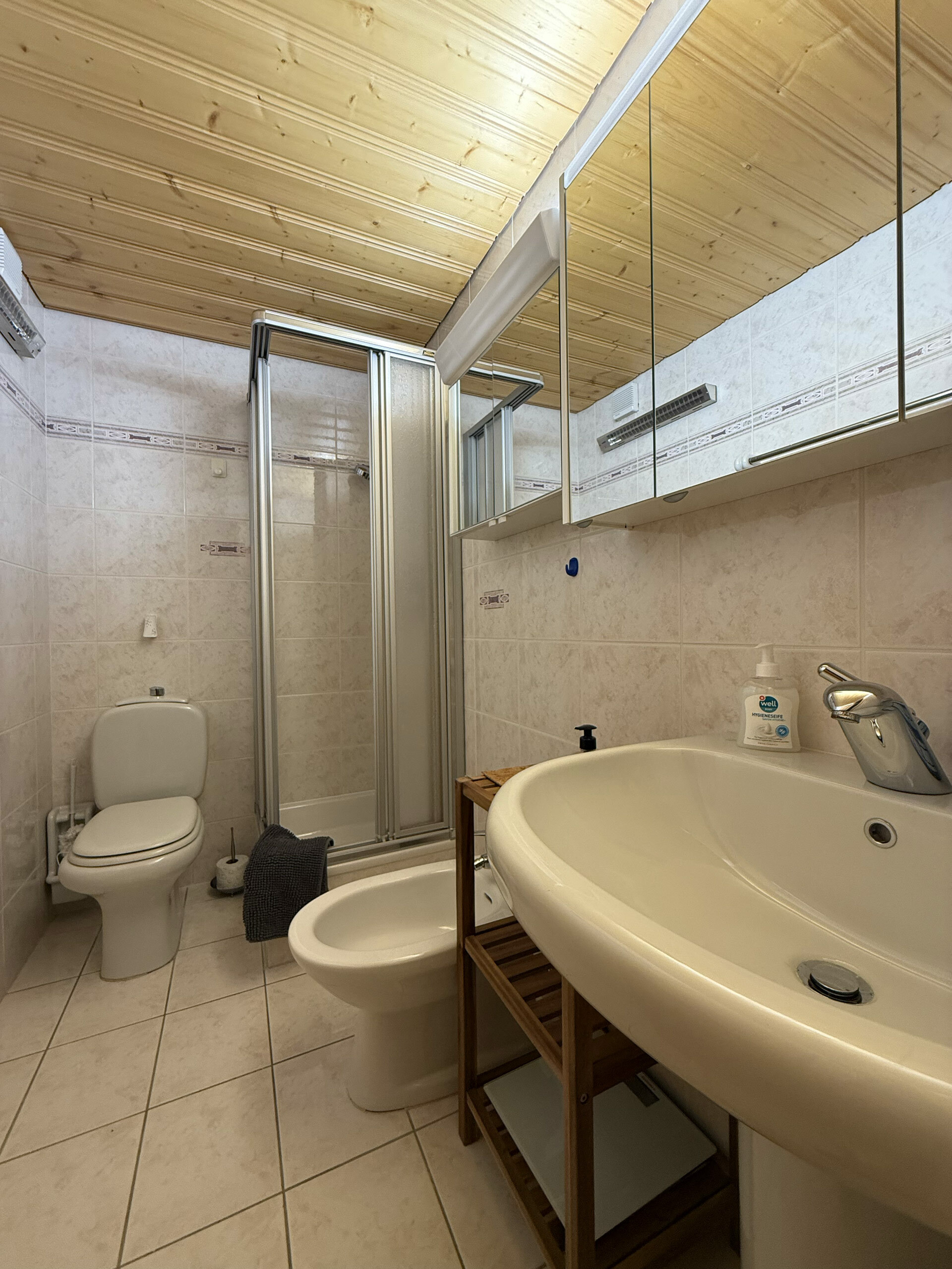 Shower room with WC Shower room with WC