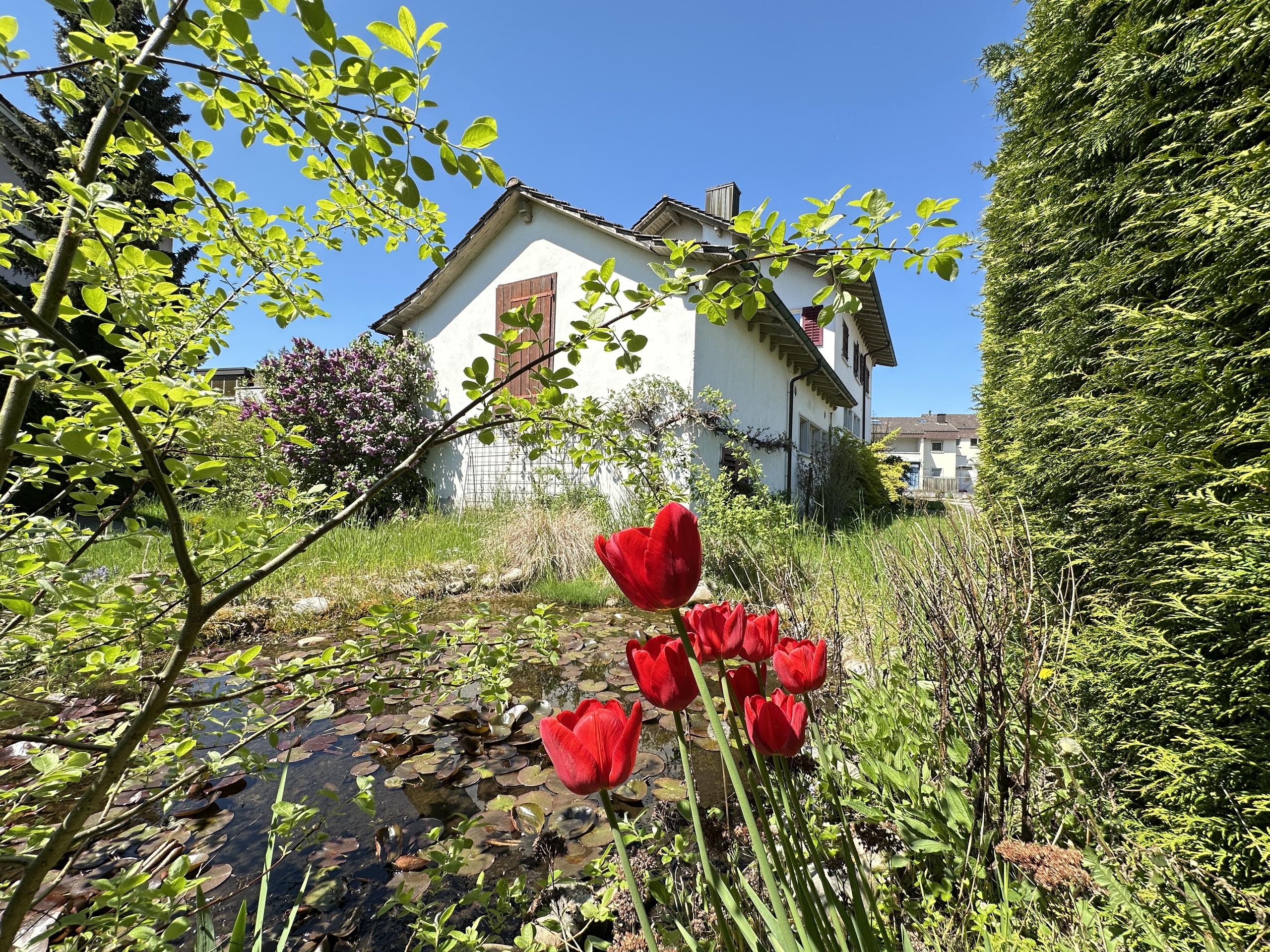 Aussenansicht
