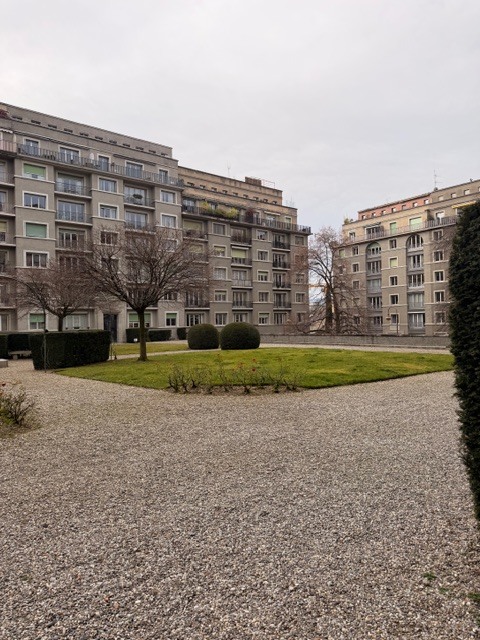 Premier coup d'oeil 1