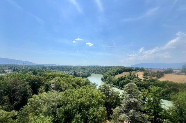 Piantina