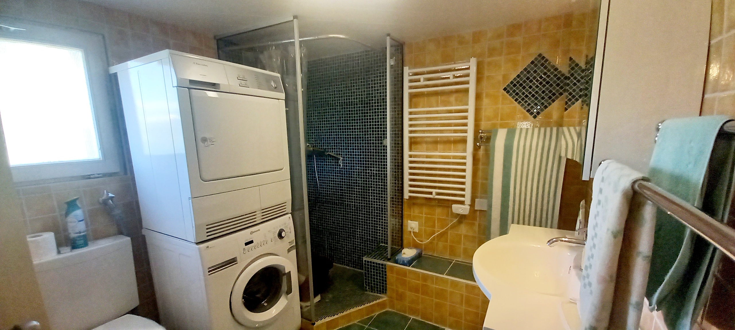 Salle d'eau avec douche, WC, lavabo, lave-linge, sèche-linge Salle d'eau avec douche, WC, lavabo, lave-linge, sèche-linge