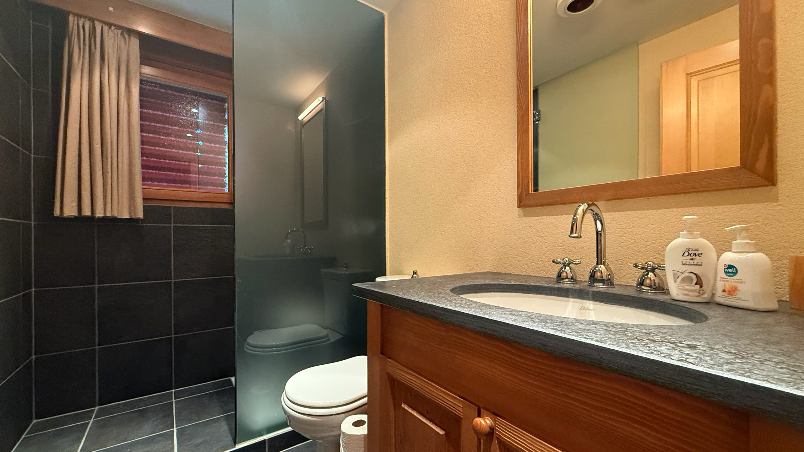 Salle de douche privative de la chambre secondaire avec WC et lavabo