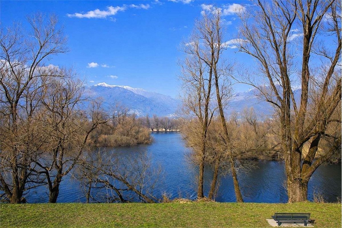 Foto 11