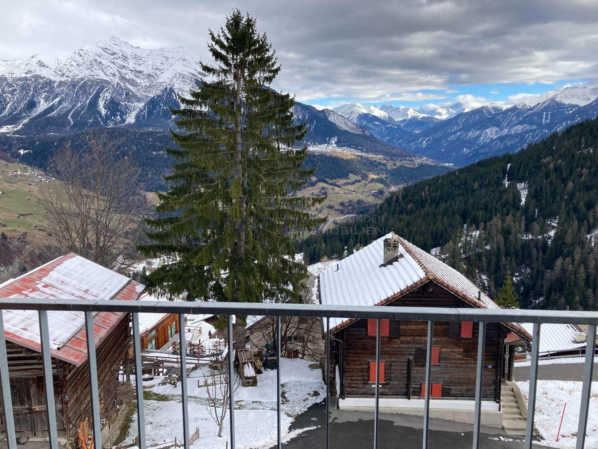 Immagine di copertina 1