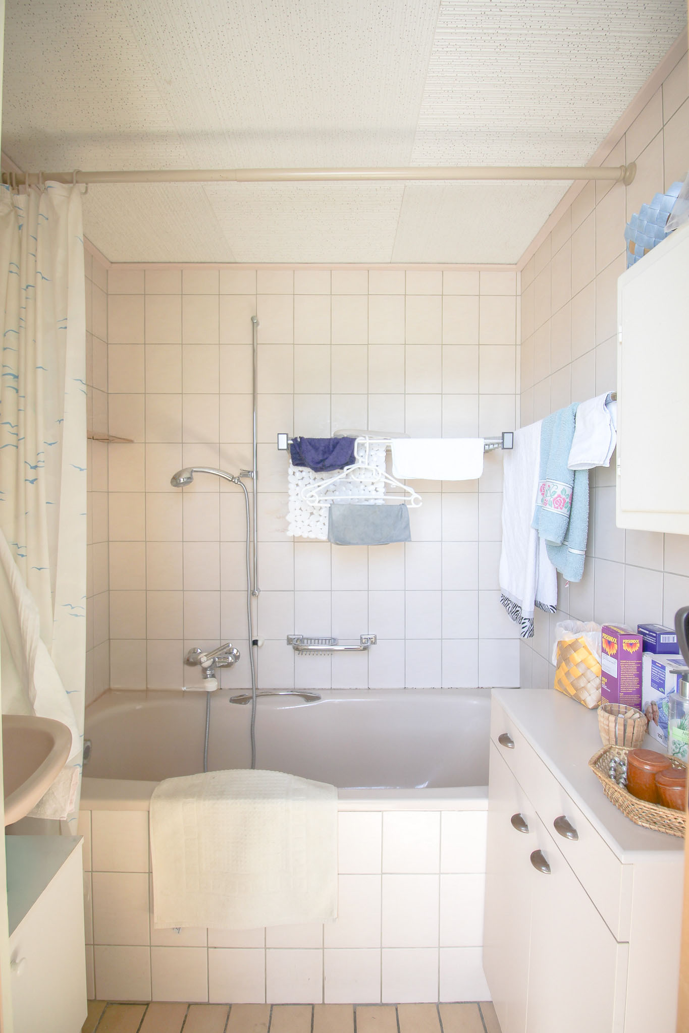 Logement principal au rez : salle d'eau