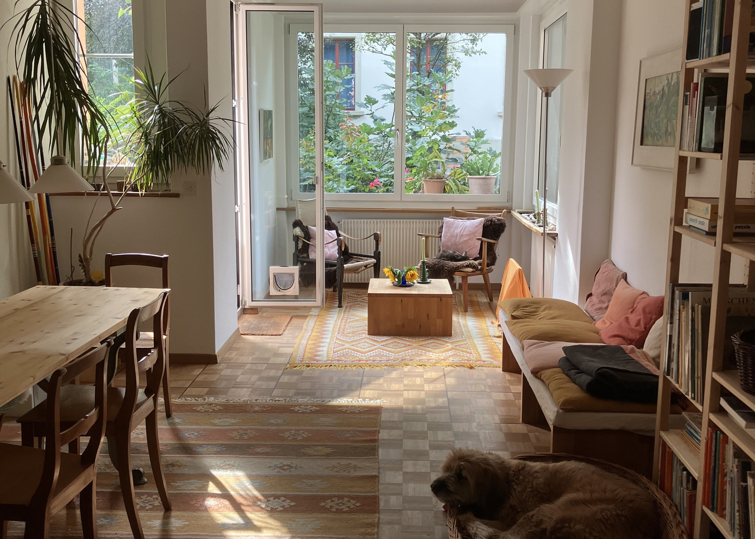 Immagine di copertina