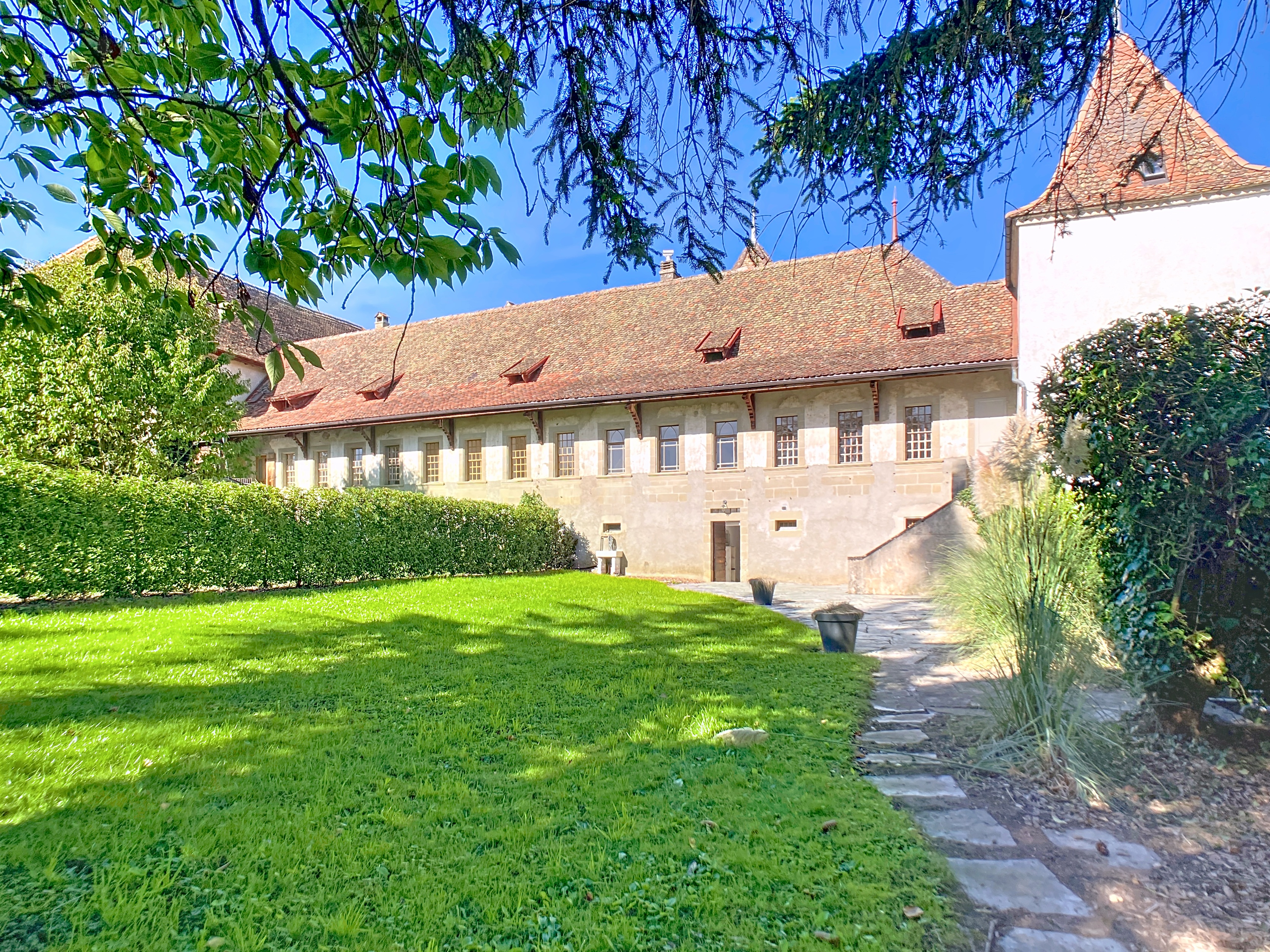 Immagine di copertina