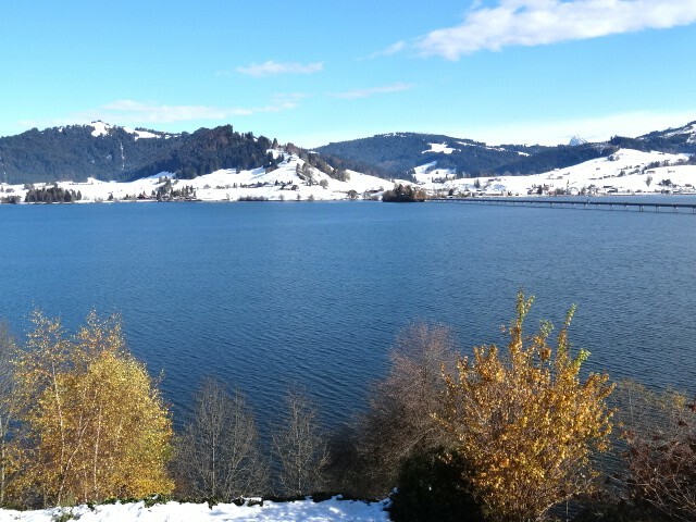 Seeblick Winter Seeblick Winter