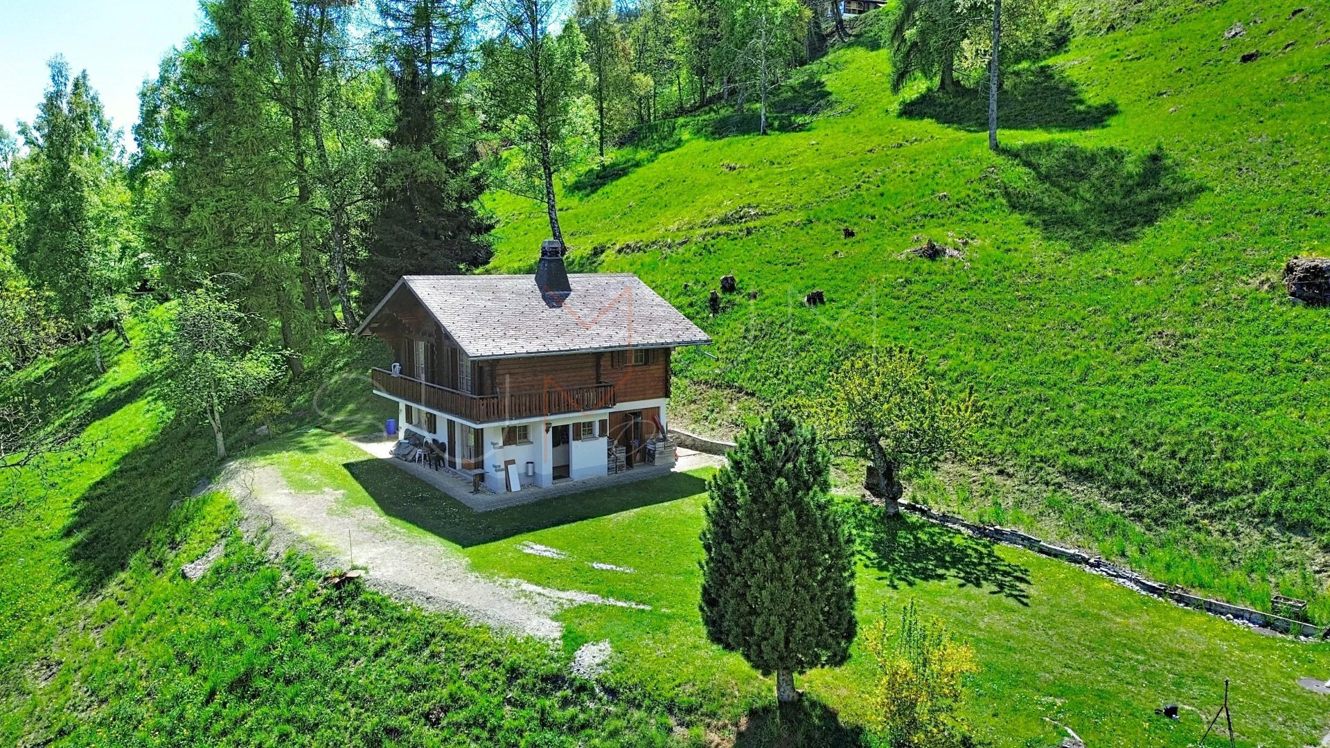 Foto 1
