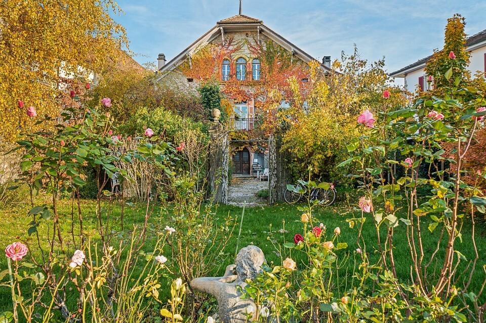 Immagine di copertina