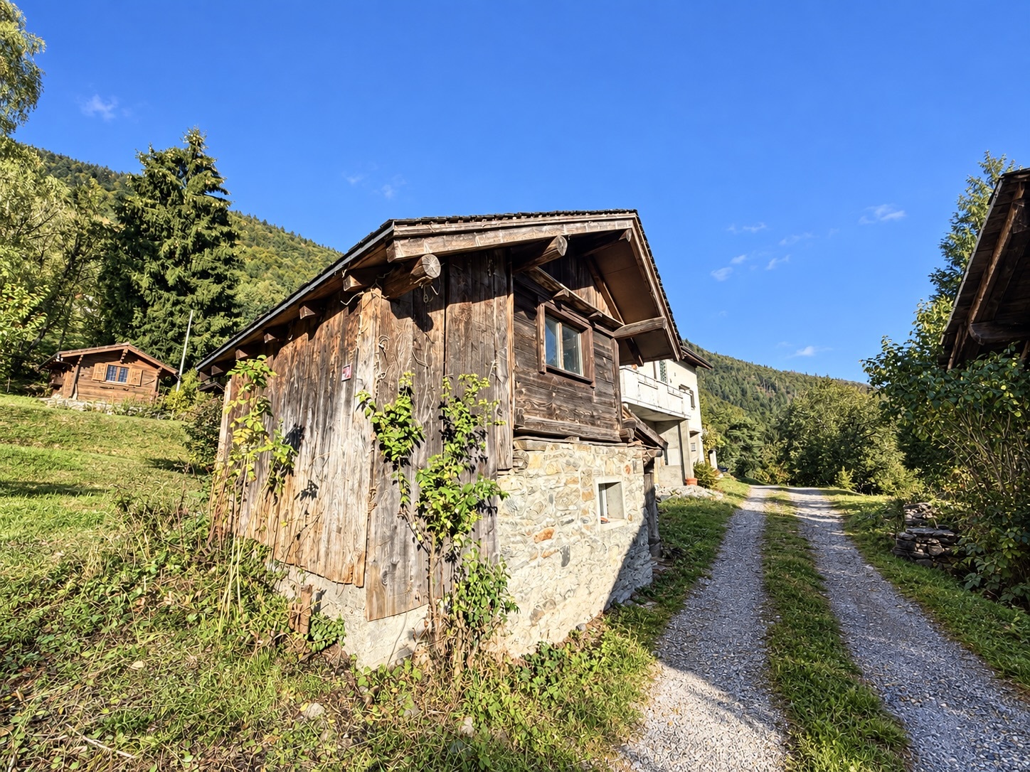 Foto 11