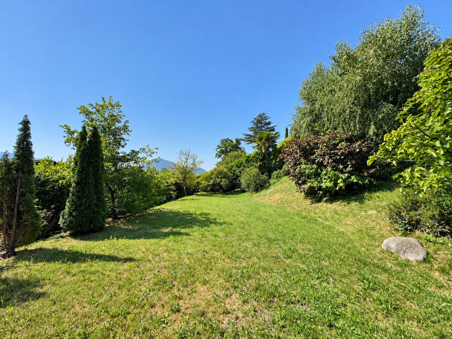 Piantina