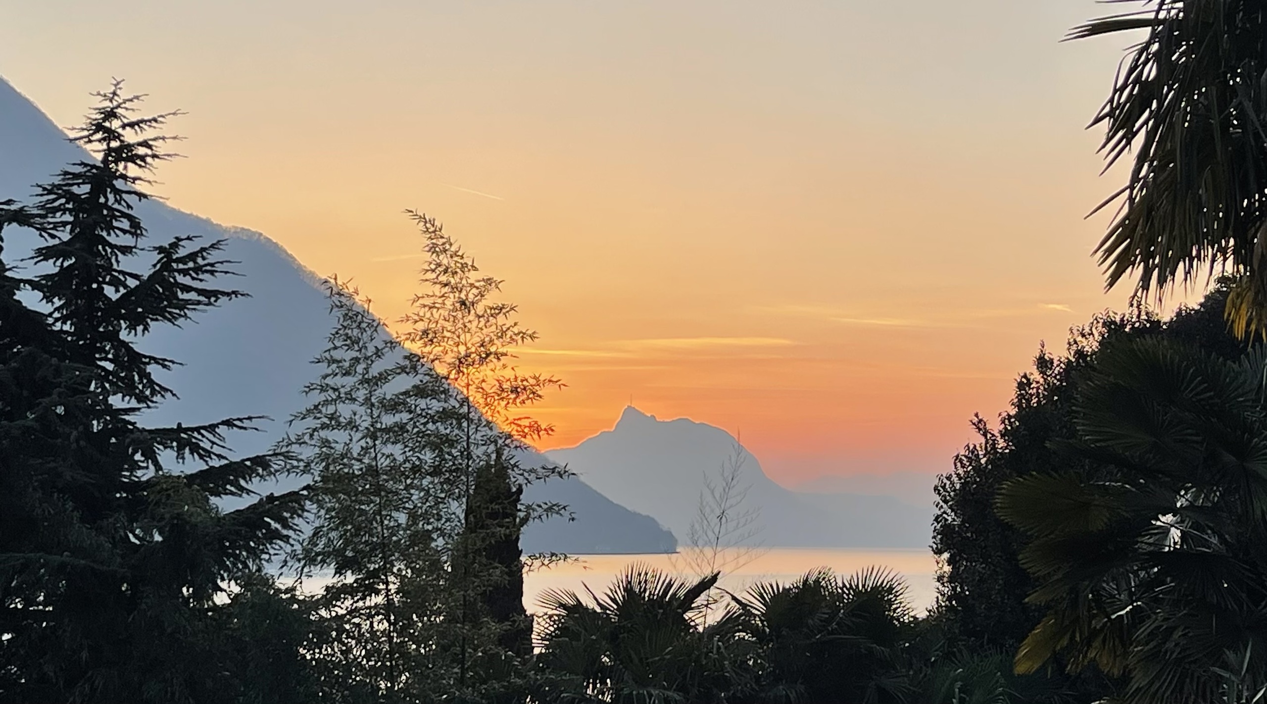 Immagine di copertina 2