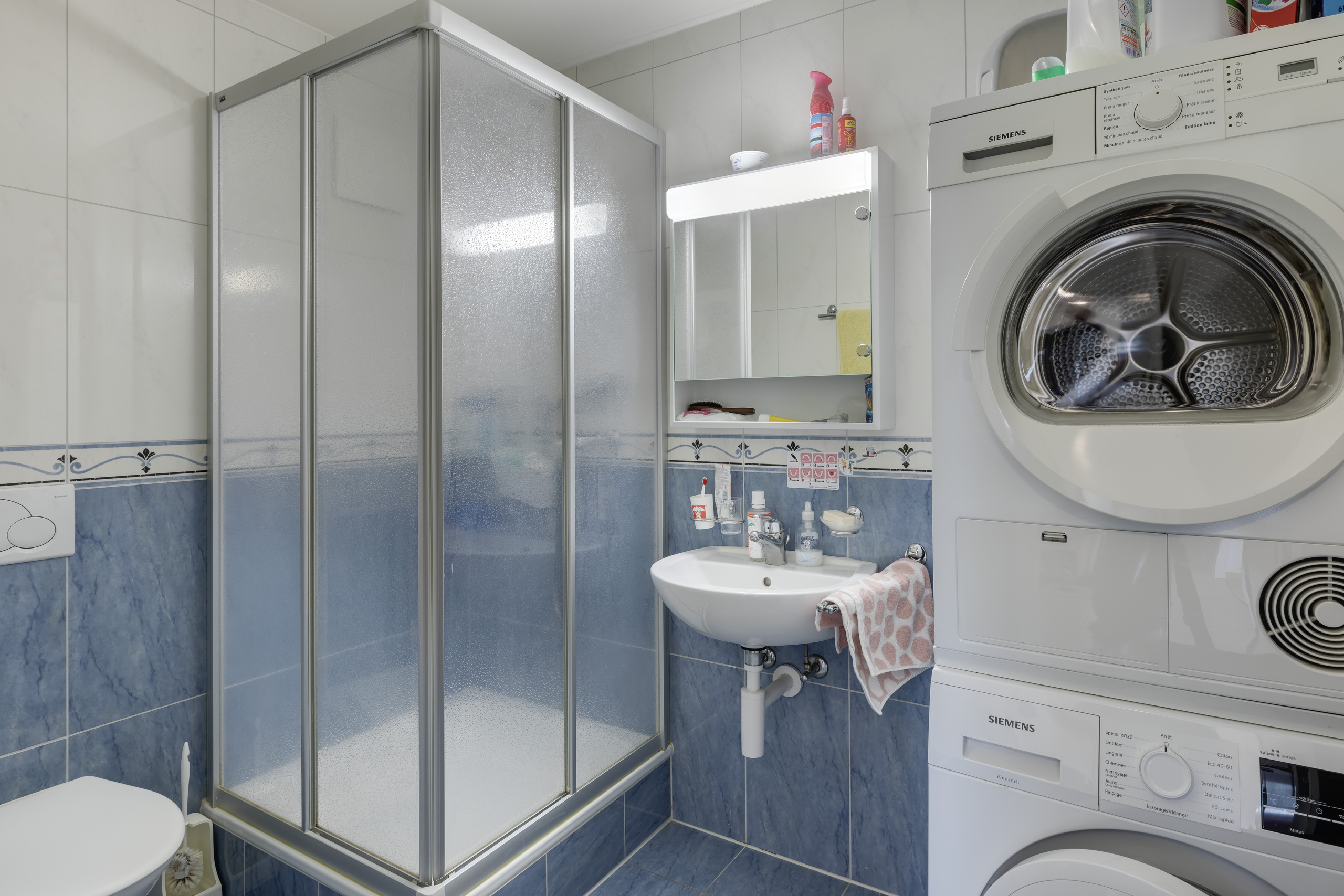 Salle de douche avec buanderie privée