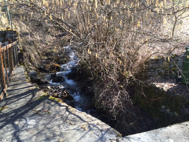 Photo 20