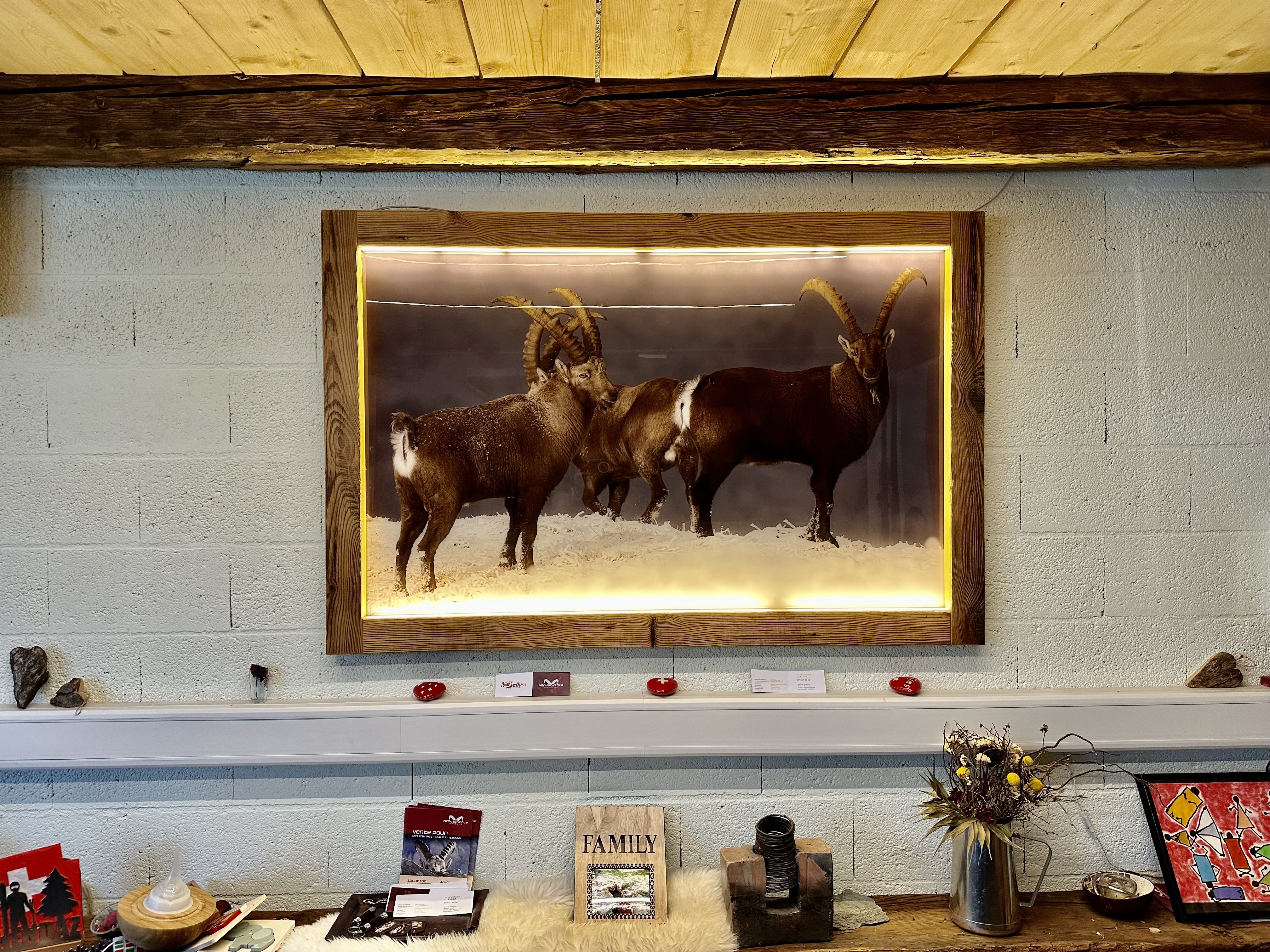 The emblem of our agency, which is close to our hearts