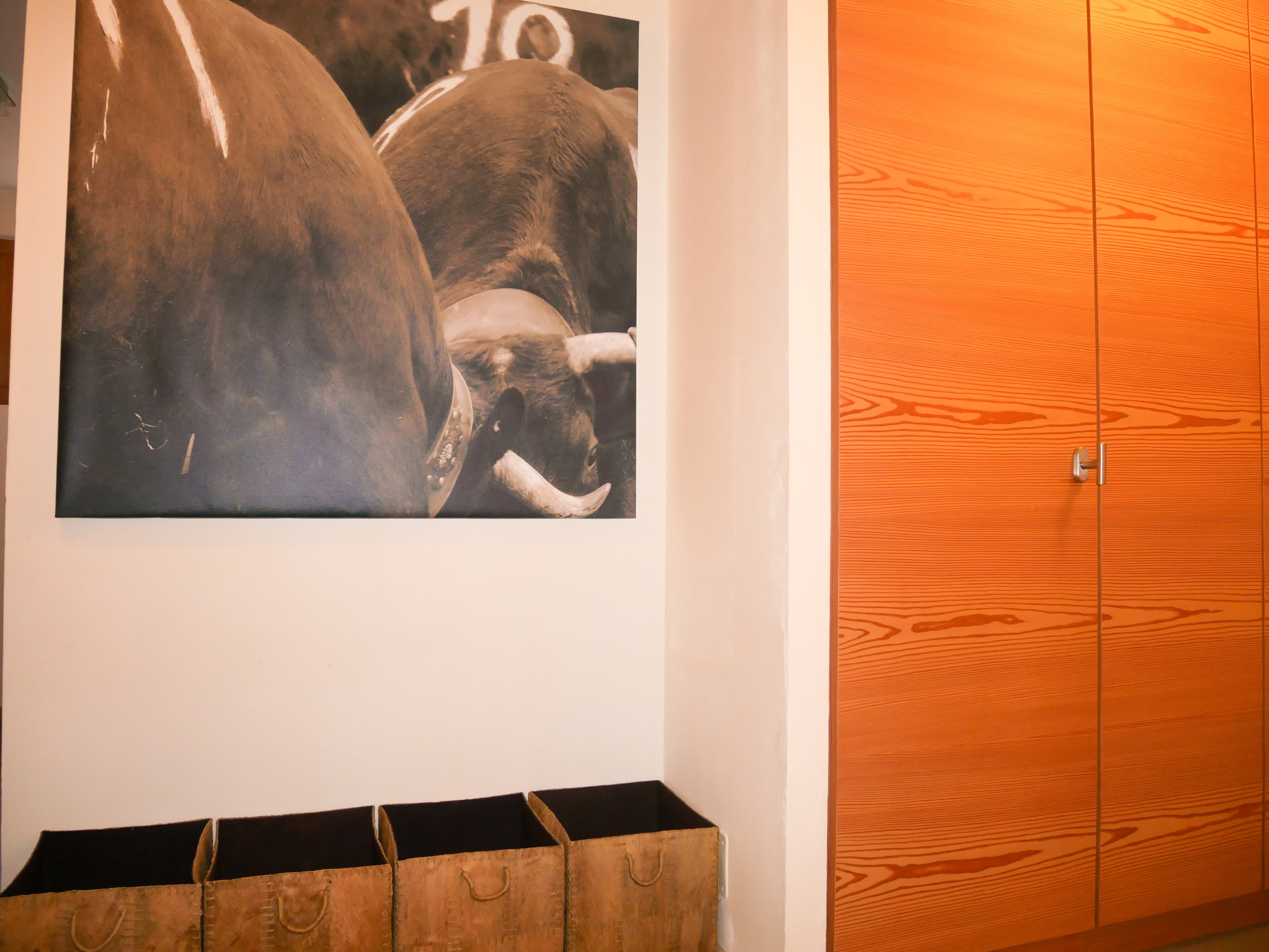 Entrée avec armoires Entrée avec armoires