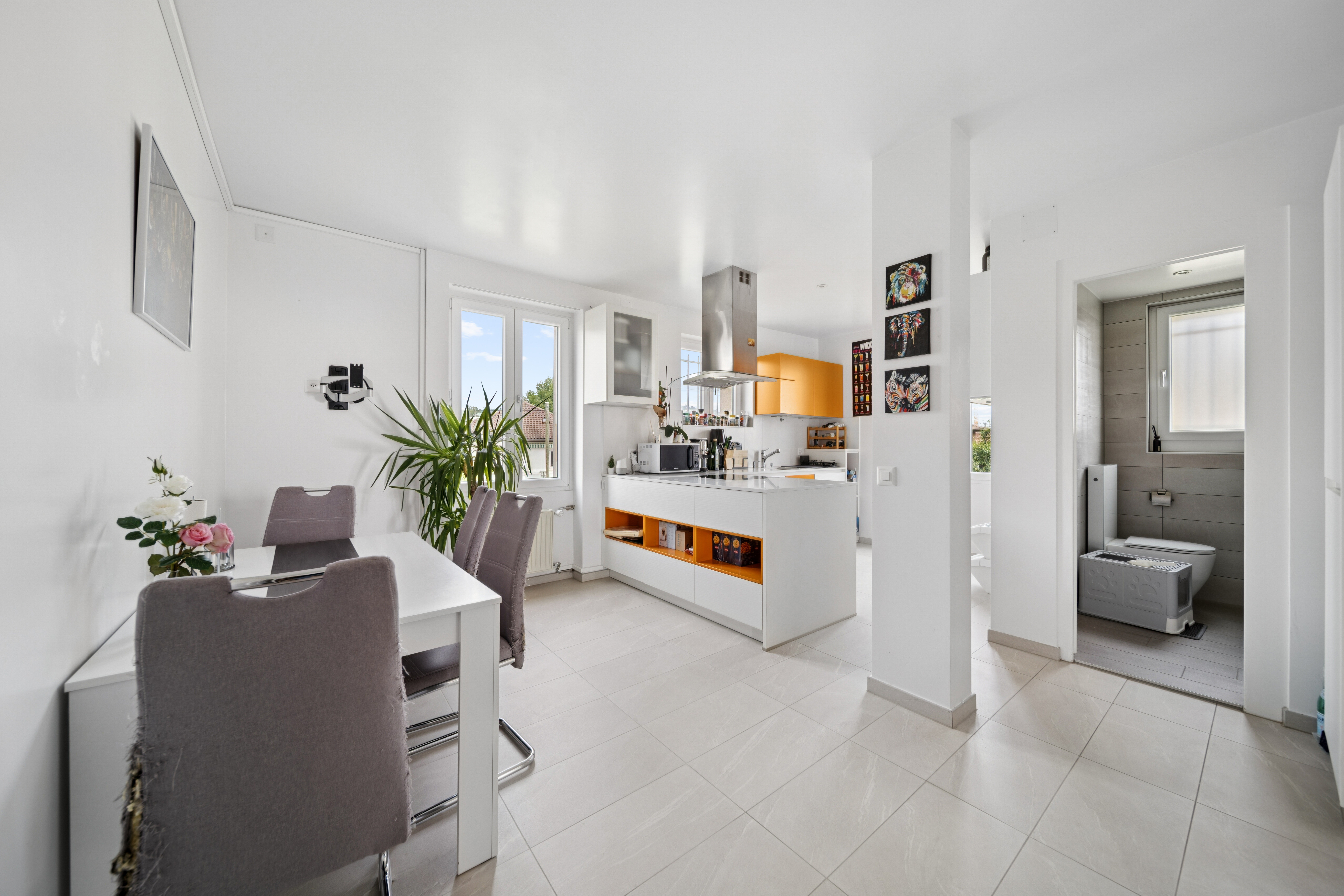 Appartement du 1er étage