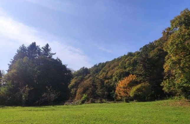 Premier coup d'oeil 2