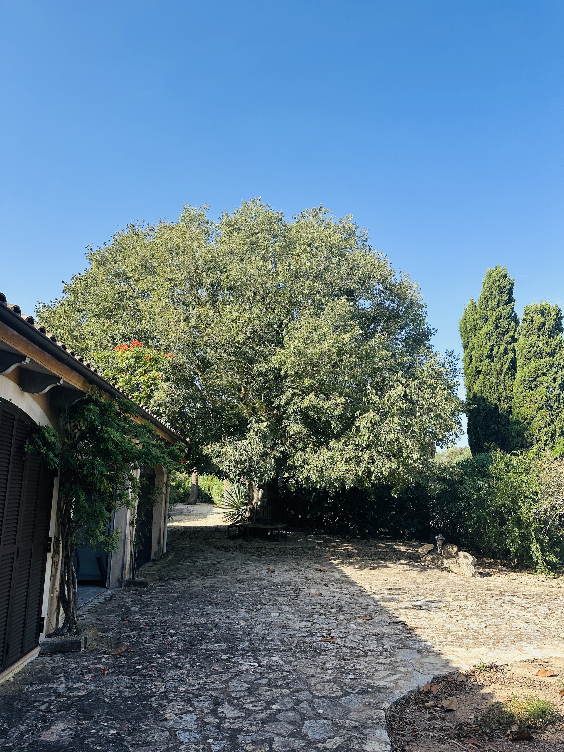 Aussenansicht 4