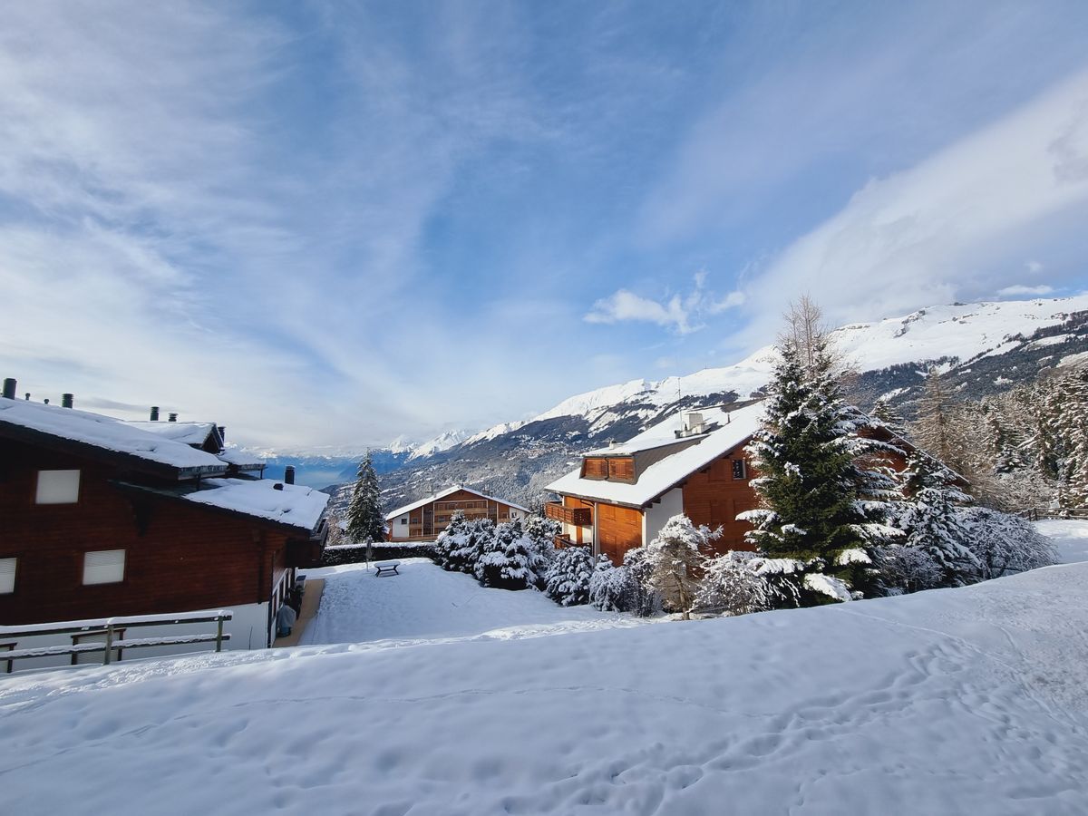 Immagine di copertina 2