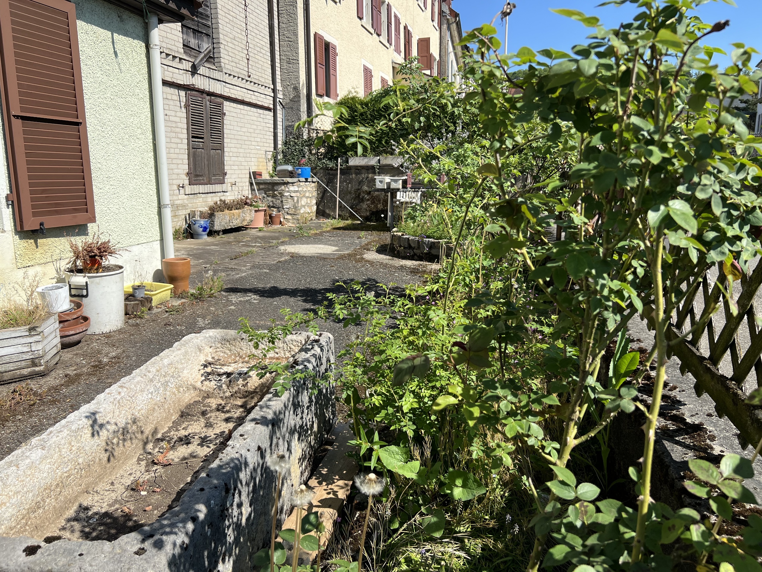 Terrasse avec petit jardinet 