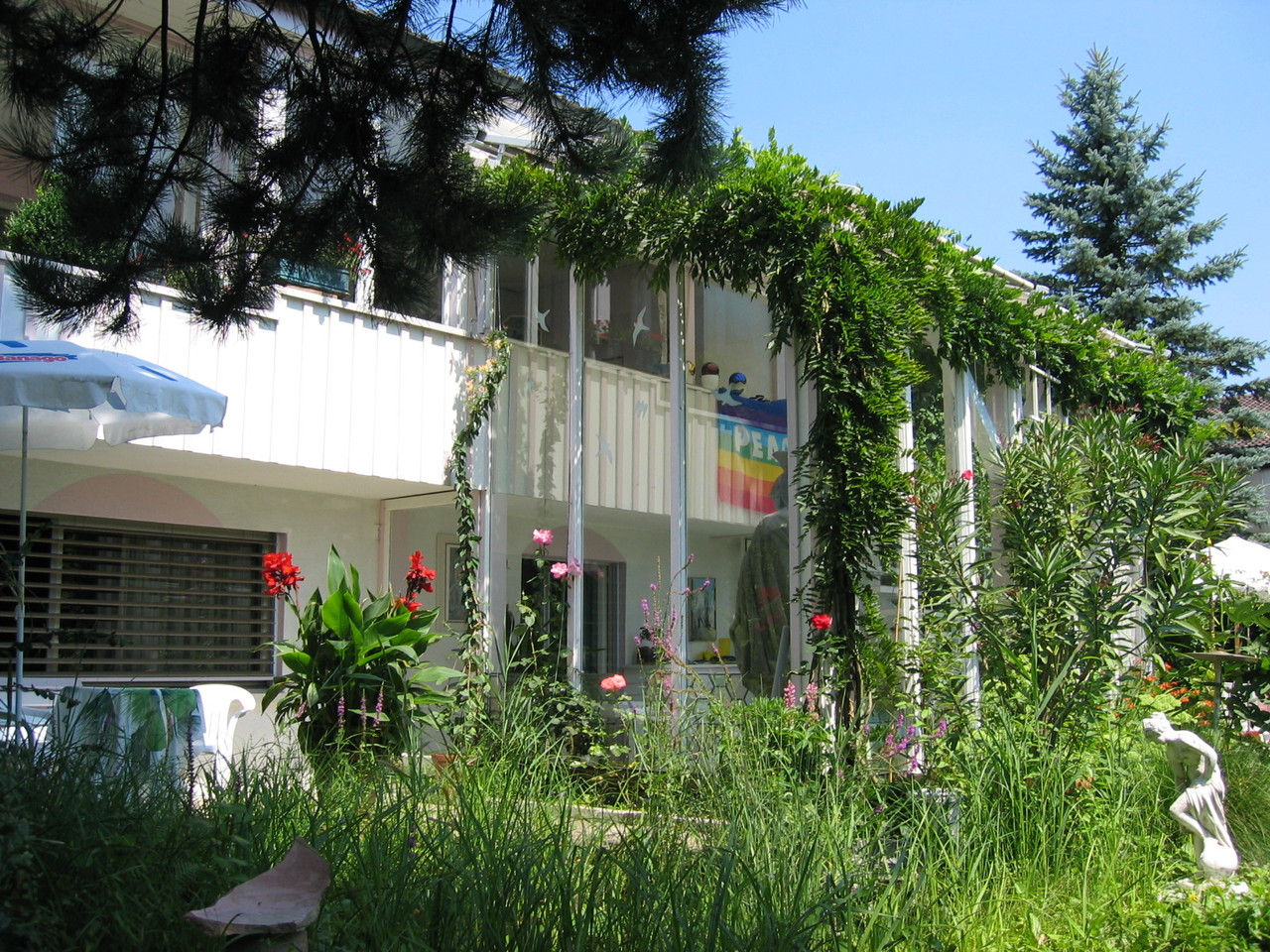 Foto 1
