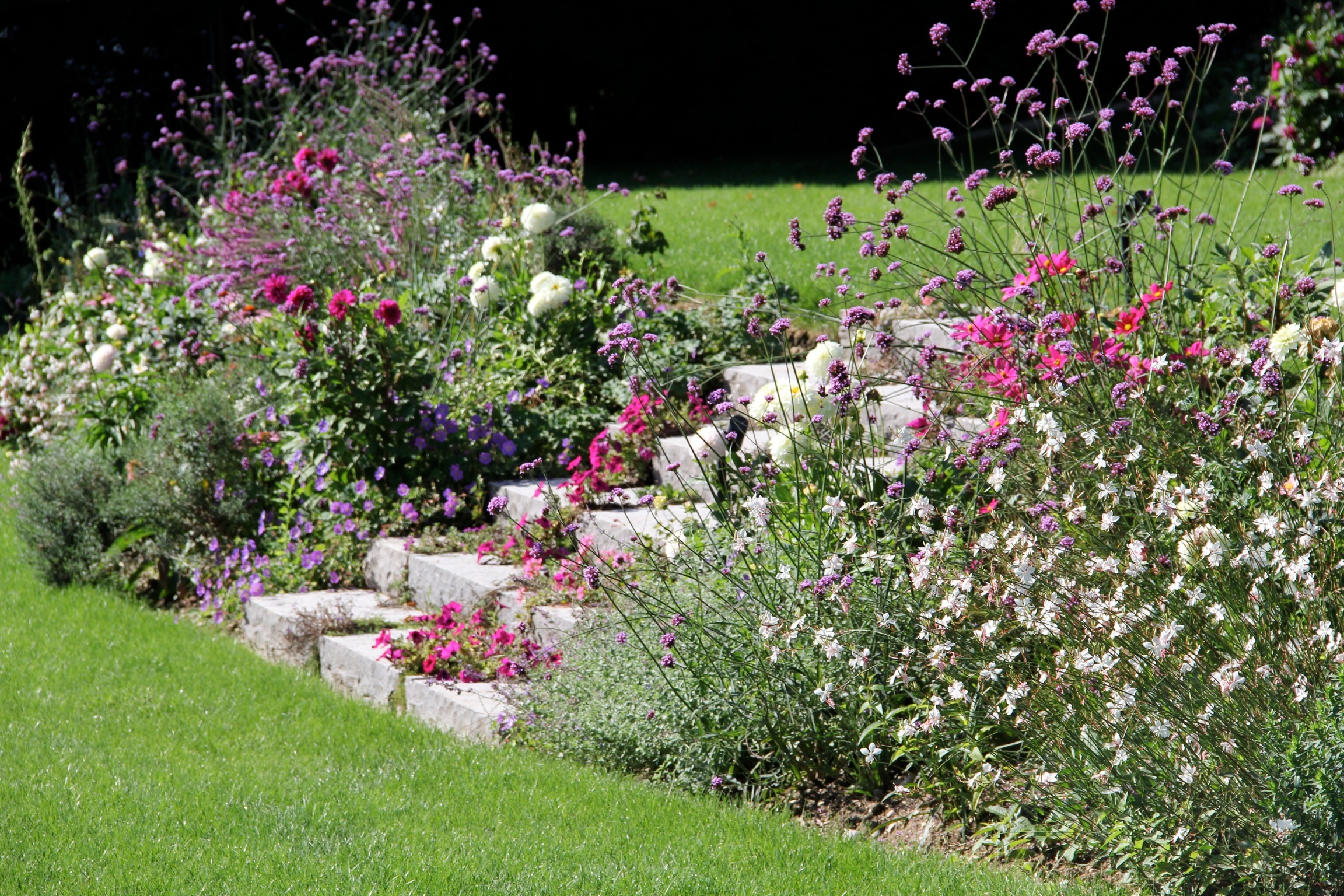 Fleurs du jardin Fleurs du jardin