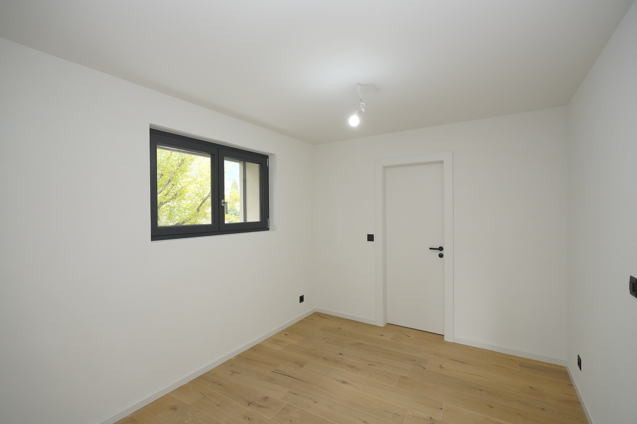 Interior view 6