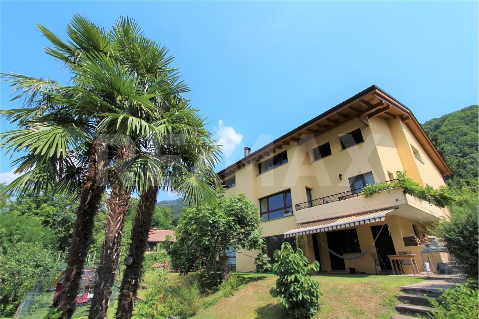 Immagine di copertina