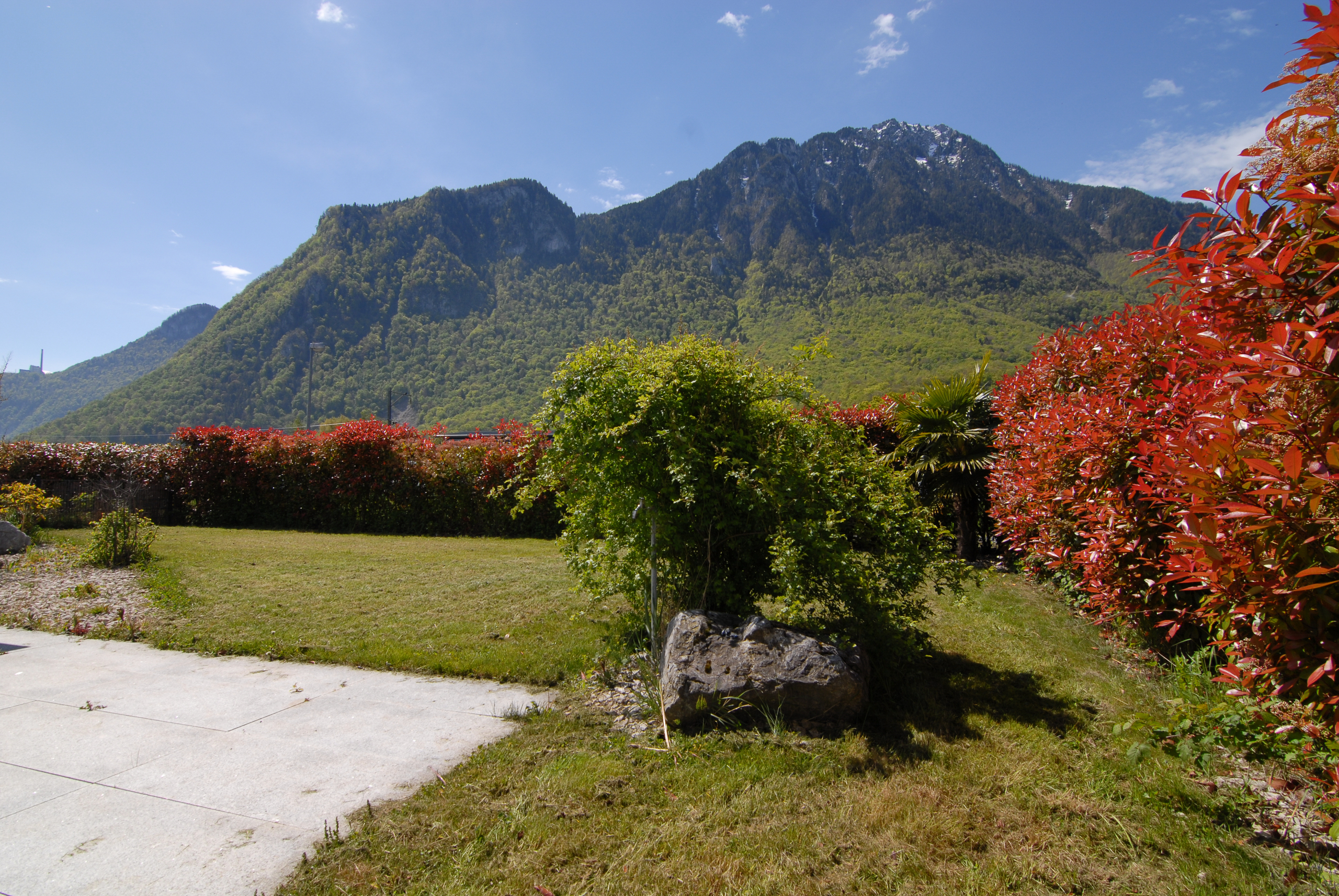 Vue sur la végétation environnante 