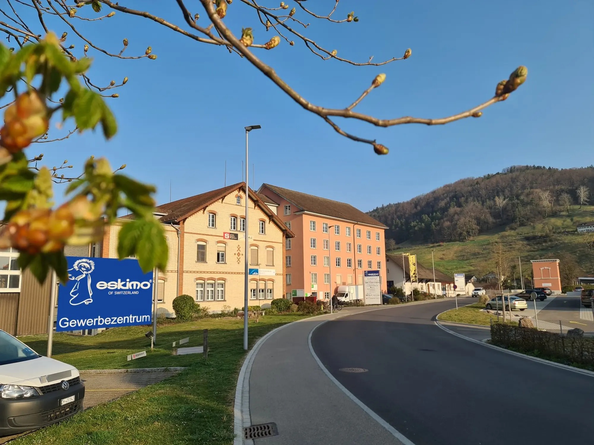 Immagine di copertina
