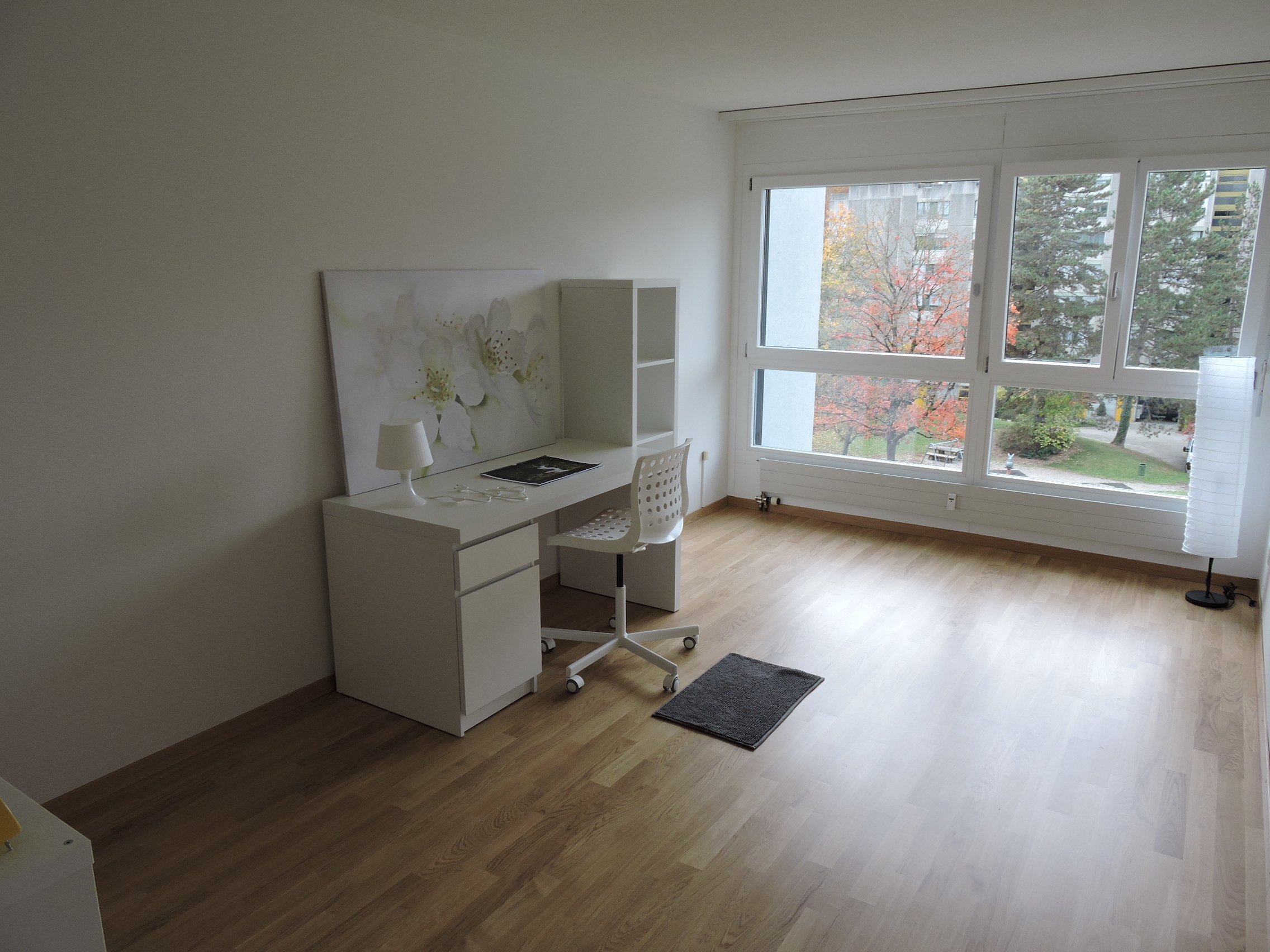 Photo 7