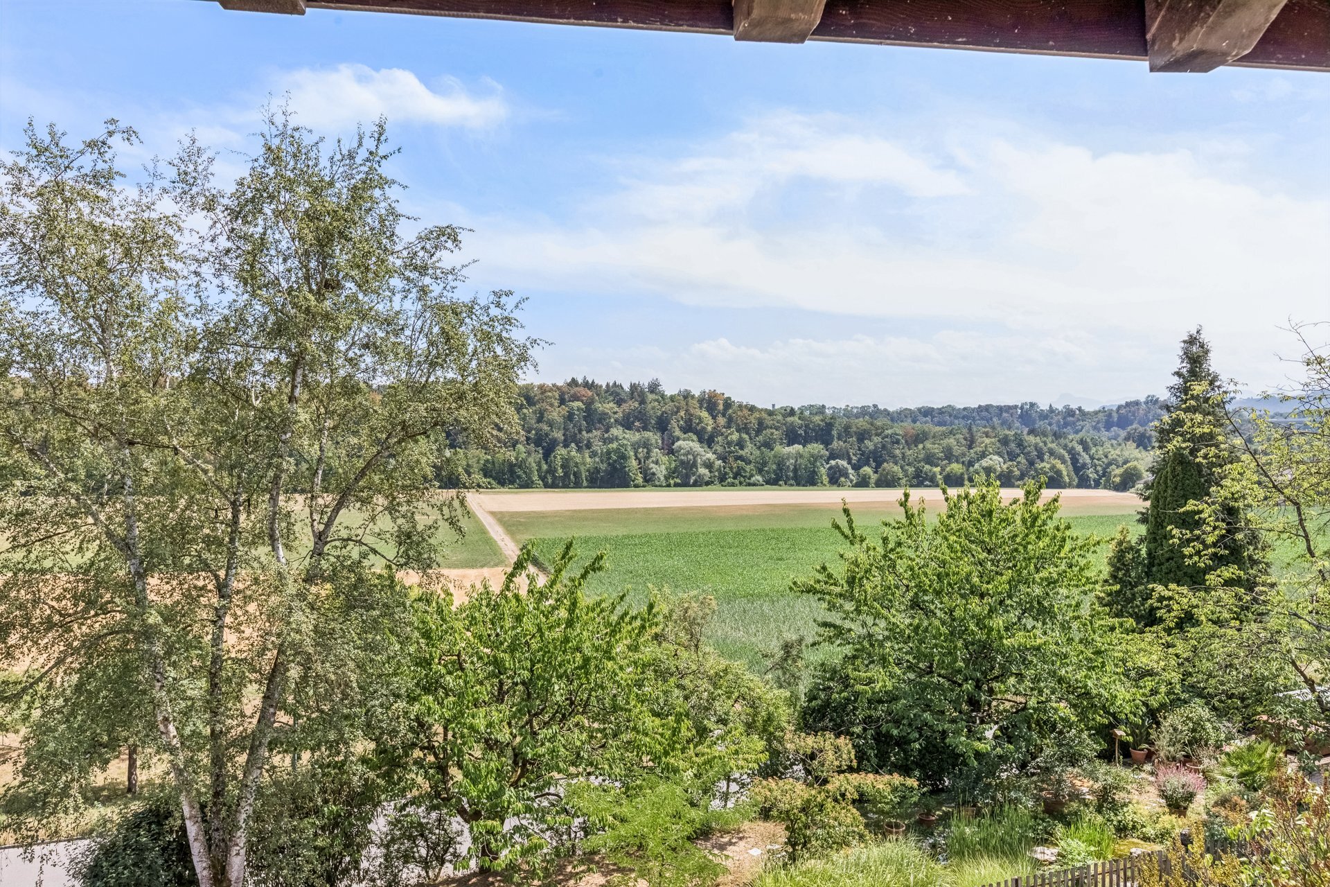 Aussicht vom Wohnzimmer