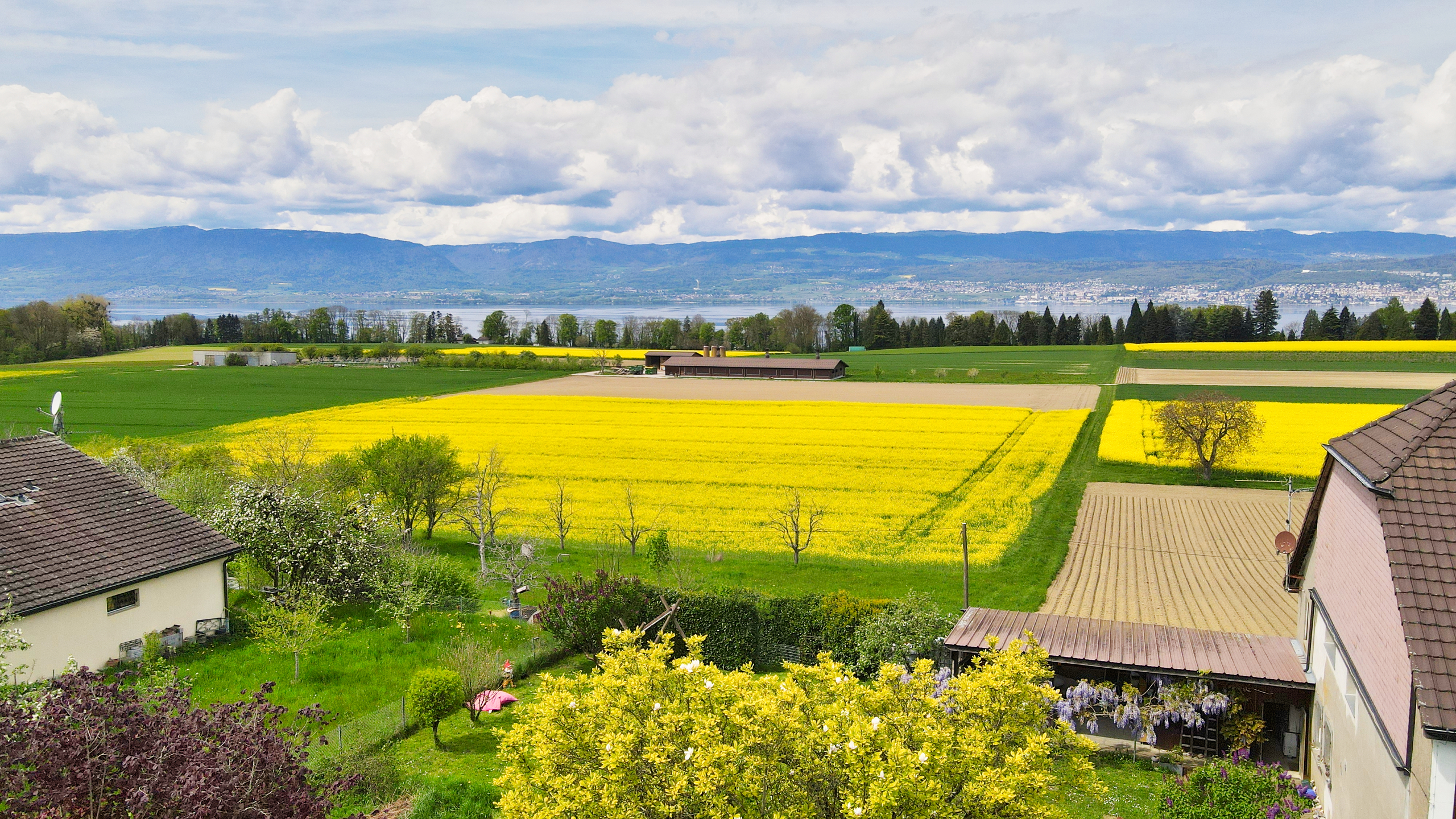 Vue appartement 1er étage Vue appartement 1er étage